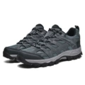 2388 Gray