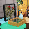 Hollow 4cm dried flower photo frame square double-sided glass toy storage frame DIY plant three-dimensional specimen frame
