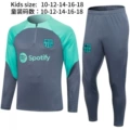 2324 basa gray
