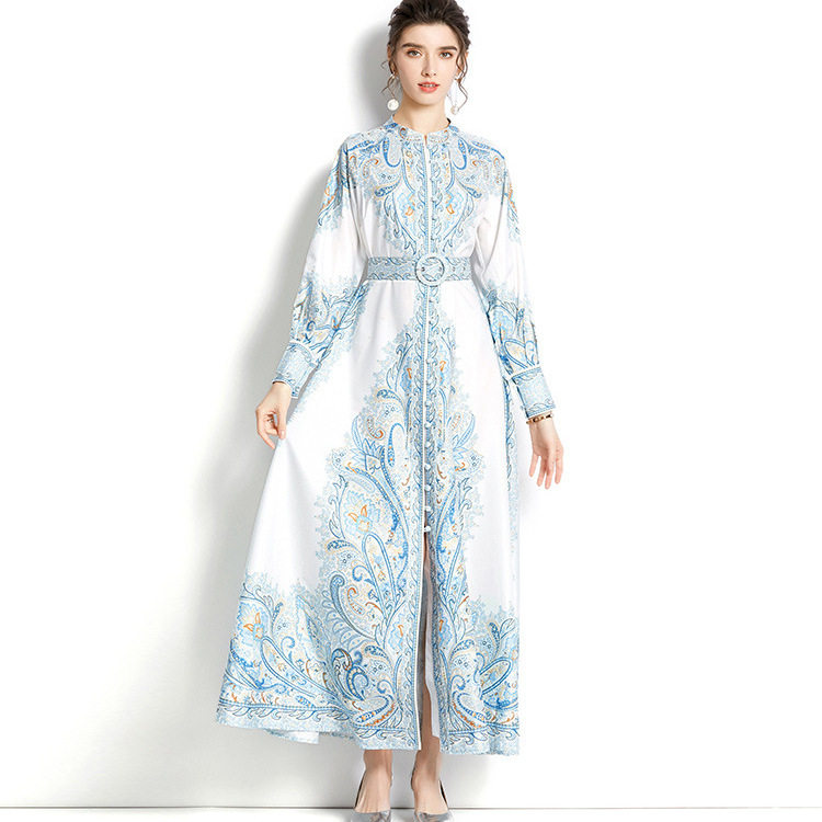 Vintage Floral Print A Line Dress for Women Lantern Sleeves Lapel Collar Knee Length Button Closure Autumn and