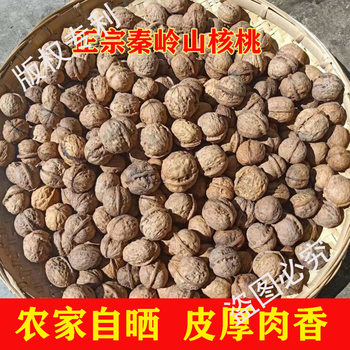Shaanxi Shangluo Pecan 2.5kg Qinling Wild Thick-Skinned Walnut Old Variety 2024 New Arrival Old Tree Wild Walnut