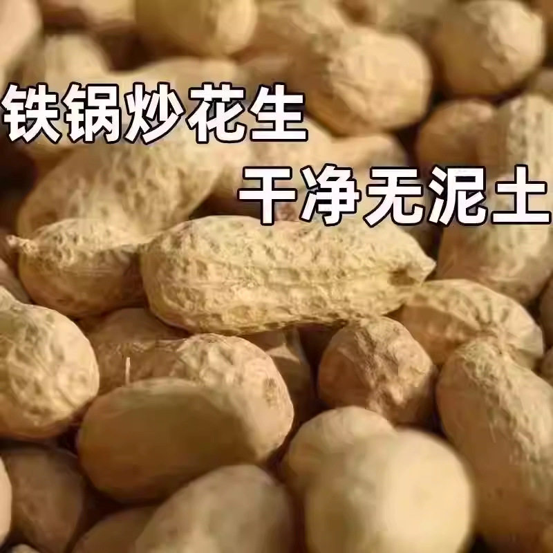 Fried Small Pearl Peanuts in Iron Pan, Freshly Fried New Goods, Full and Crispy, Clean and Soil-Free, Casual Roasted Snacks