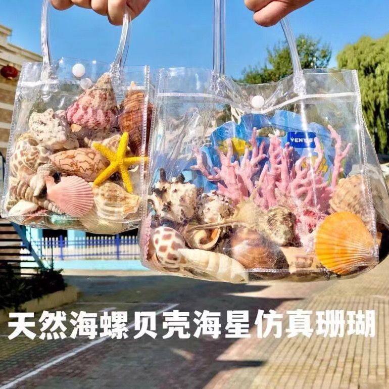 Natural Shells, Conches, Starfish, Fish Tank Landscaping Decorations, Science and Education Supplies, Kidsren's Toys, Birthday Gifts, Melting