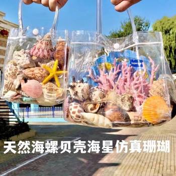 Natural Shells, Conches, Starfish, Fish Tank Landscaping Decorations, Science and Education Supplies, Kidsren's Toys, Birthday Gifts, Melting