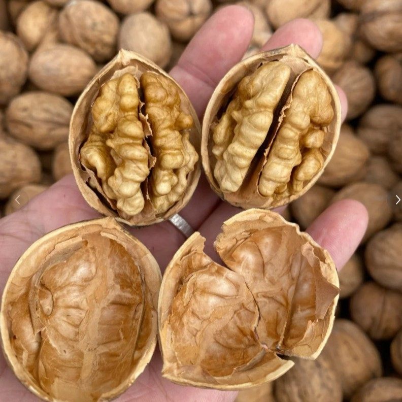 Fresh Xinjiang 185 Paper-Skinned Walnuts, New Thin-Skinned Walnuts, Aksu Original Flavor Nuts, Snacks, Freshly Peeled by Hand