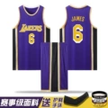Lake R-purple suit-James 6 [send bracelet arm guard]]