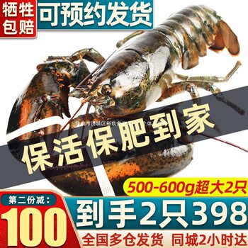 Live Boston Lobster, Fresh Large Lobster, Extra-Large Lobster, Canadian and Australian Seafood, Small Green Lobster