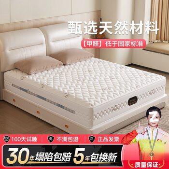 Silent Spring Mattress 1.8m Environmentally Friendly Latex Coconut Palm Dual-Purpose Spine Protection Mattress Aliexpress Factory Direct Sales Cross-Border
