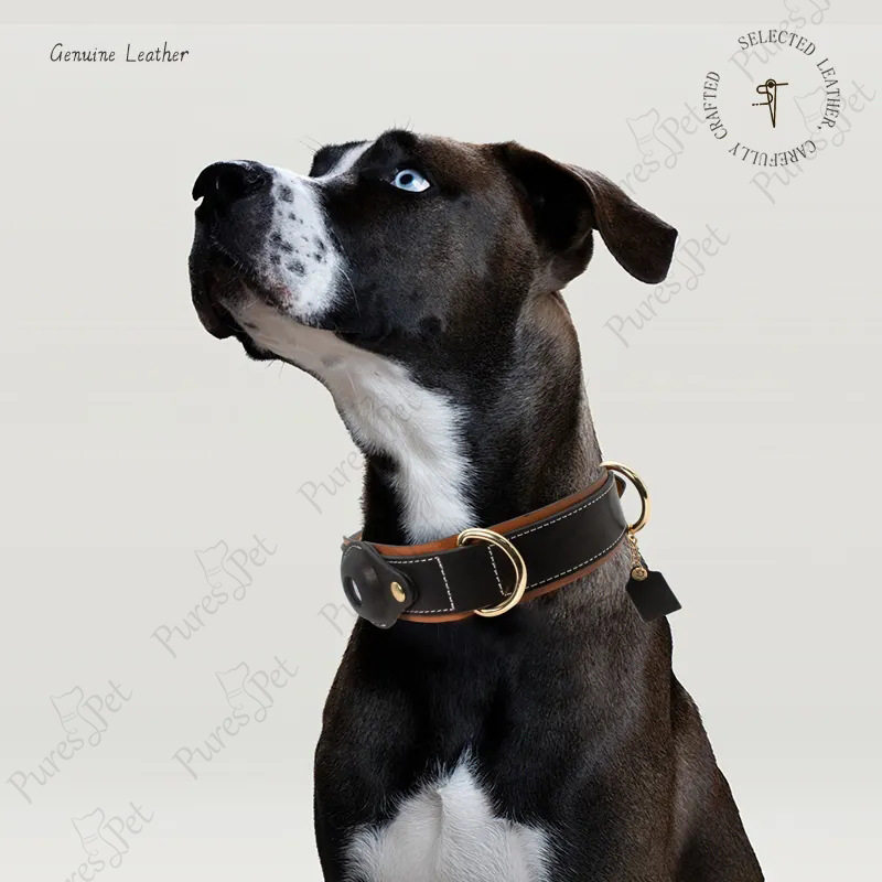 Cross-border Pet Collar Anti-lost AirTag Location Tracking Dog Collar