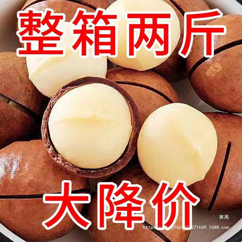 New Arrival Macadamia Nuts Large Particles 1000g Net Weight Cream Nuts Dried Fruits Bulk Specialty Snacks