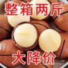 New Arrival Macadamia Nuts Large Particles 1000g Net Weight Cream Nuts Dried Fruits Bulk Specialty Snacks