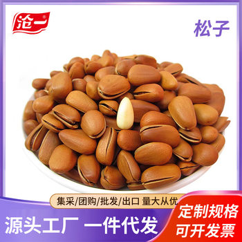 Cangyi's New Arrival Granular Pine Nuts 500g Kidsren's Nut Snacks for Pregnant Women Wholesale Casual Snacks 250g Pine Nuts