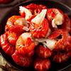 Frozen Lobster Tails Without Ice Coating, Fresh Lobster Tails Wholesale, Fresh Spicy Crayfish Tails, Seafood for Commercial Use