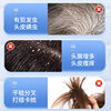 Sakagawa Sophora Sophora Flavescentis Shampoo Cleansing Dandruff Hair Cutter Refreshing Mite Removal Shampoo Factory