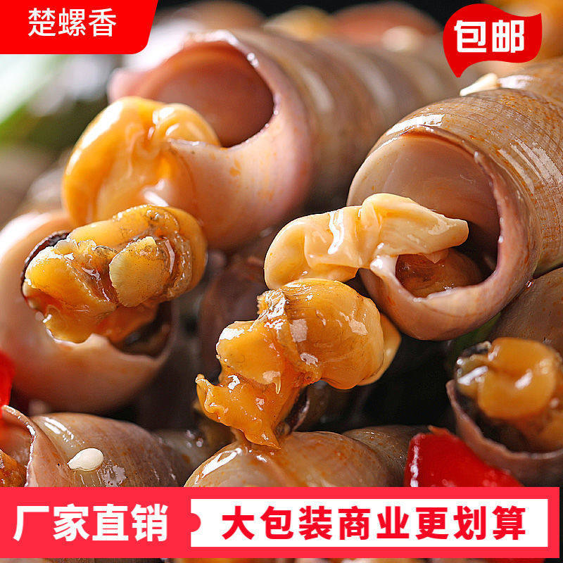 Spicy Sea Snail Bags Affordable 500g Commercial Seafood Cooked Spicy Sea Snails Without Tails Sea Cones and Sea Melon Seeds Wholesale