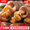 Spicy Sea Snail Bags Affordable 500g Commercial Seafood Cooked Spicy Sea Snails Without Tails Sea Cones and Sea Melon Seeds Wholesale