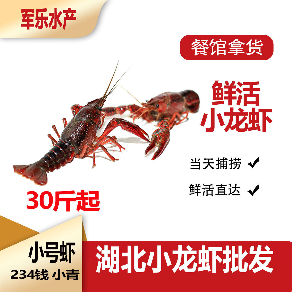 Fresh Crayfish Wholesale 234 Yuan Small Shrimp Hubei Qingshui Cultured Restaurant Catering Commercial Aquatic Live Shrimp Green Shrimp