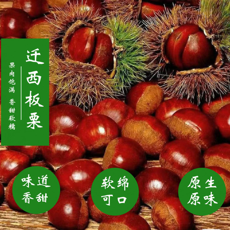 Authentic Qianxi Chestnuts, Fresh Shelled Oil Chestnuts, Selected Fresh Chestnut Kernels, Large and Plump Raw Chestnuts, Free Shipping