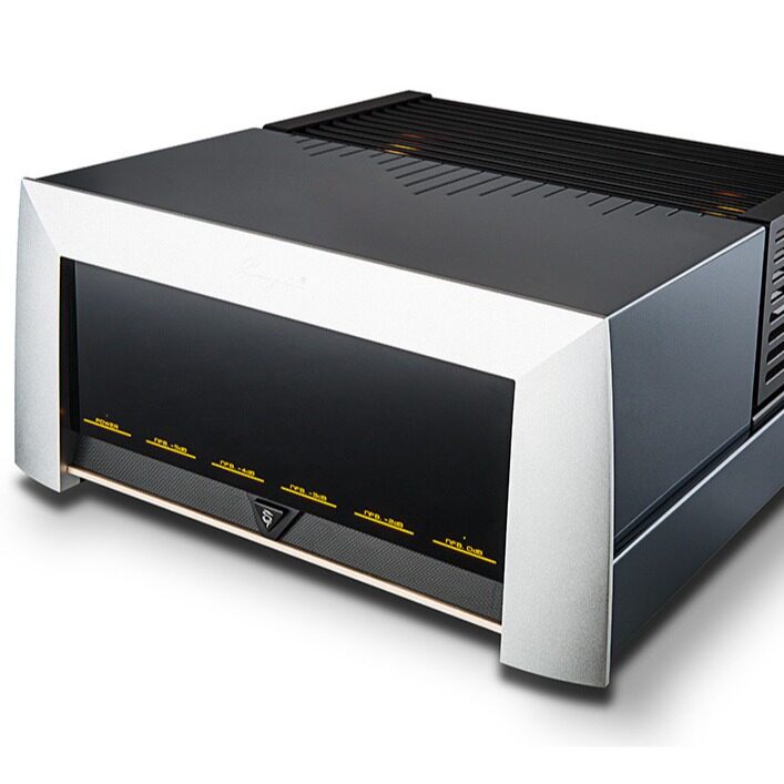 Cayin Kayin Spock M-845D Fever Class Electronic Tube High Power Gallbladder Front and Rear Class A Power Amplifier