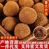 Feizixiao Dried Lychee with Small Pits, Thick Flesh, Thin Shell, 2025 New Arrival Dried Fruit, Specialty from Gaoshou, Guangdong, Shipped from Maoming