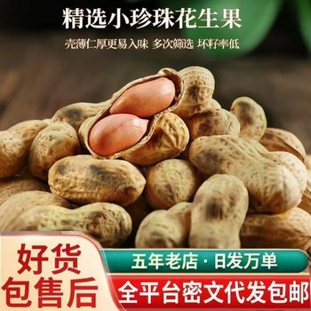 Peanuts, Spiced Roasted Seeds and Nuts, Wholesale Snacks, Fresh Bulk, Crispy Shelled New Year Nuts, Fresh Firewood Roasted Peanuts