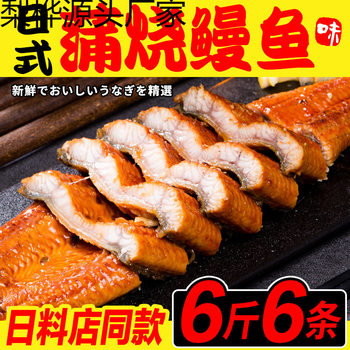 Eel kabayaki commercial extra large heated ready-to-eat fresh internet celebrity charcoal grilled live eel kangaroo eel japanese food wholesale price