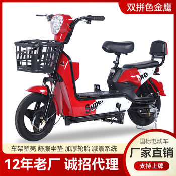Factory Customization New National Standard Electric Car Two Wheel Electric Vehicle Electric Bicycle Adult Scooter