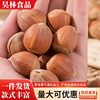 Hazelnuts, a Specialty of Northeast China, Fresh Wild Roasted Hazelnuts with Open Shells, Original Flavor, No Additives, Nut Snacks, Roasted Dried Fruits