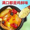 Chicken Essence Fresh Chicken Seasoning 100g Fresh Chicken Bbq Seasoning Spice for Home and Commercial Use Msg Seasoning