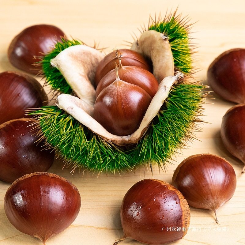 Fresh and Tender Chestnuts, Seasonal Farm Non-Chestnut New Cone Chestnuts, Wild Hairy Chestnuts, Raw Fresh Small Oil 2025