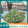Ready Supply of Parsley Western Food Seasoning Wholesale Parsley Chopped Seasoning Pasta Salad Spice Parsley