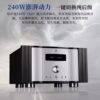 Winner/Tianyi Ad-2Pro+ Fully Balanced Pure Class a Fever Hifi High Power Dsd Decoding Amplifier