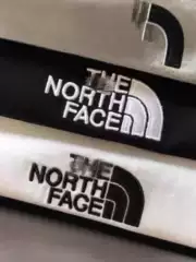 2025 Summer Original Label The North Face Embroidered Short-Sleeve T-Shirt Round Neck Men's Breathable Casual Trendy Summer Factory Wholesale