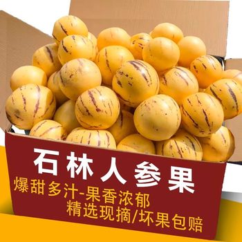 Fresh Yellow Yunnan Ginseng Fruit, 10 Meat Balls, Fruit Stone Forest, Free Shipping, Colorful Large Ginseng Fruit, 2.5kg Fruits