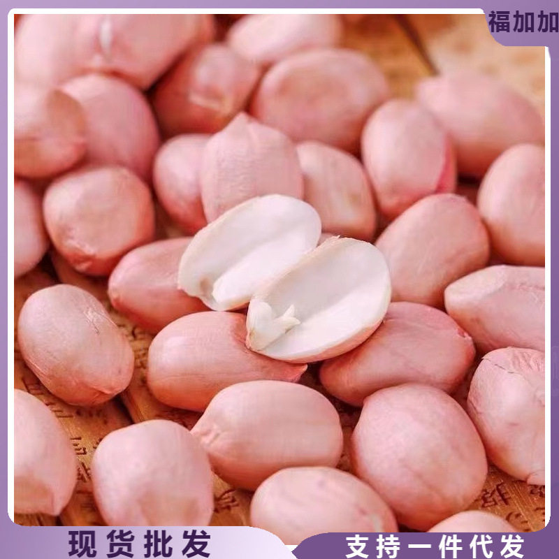 The new peanut is preferably raw peanut bean powder peanut organic peanut large peanut kernel oil and wine 5kg