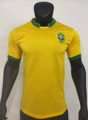 2006 brazil home game