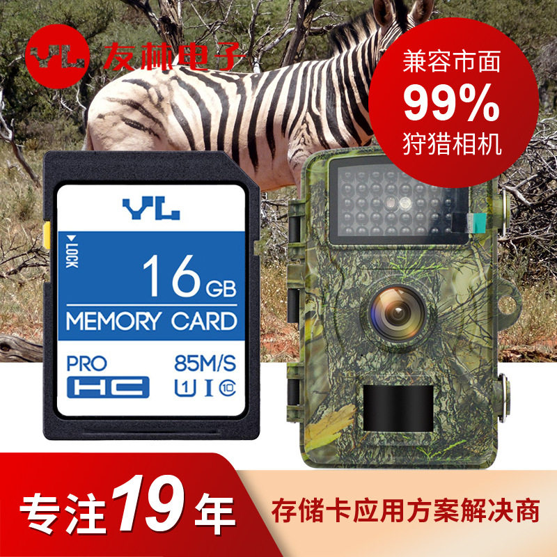 Youlin Memory Card 8GB hunting camera infrared camera memory card 16GB 32GB 64GB SD card