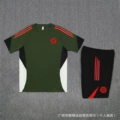 2526 short sleeve bayern green