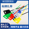 Source manufacturers wholesale color sign cable tie 5*200 marking plate waterproof color label nylon binding cable tie