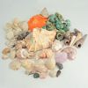 Natural Conch Shells, Colored Scallops, Handmade DIY Small Shells, More Than 20 Mixed Fish Tank Landscaping, Children's Day Materials