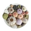 Dream Sea Urchin Shell Princess Wind Night Light Accessories Natural Sea Urchin Shell Mediterranean Lantern Sea Urchin Medal Sea Urchin