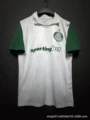 25-26 palmeiras away game