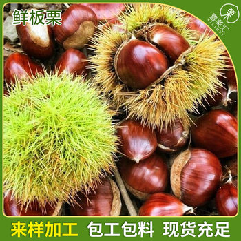 Shandong fresh chestnut raw chestnut origin chestnut factory wholesale raw chestnut large, medium and small fresh chestnut nuts