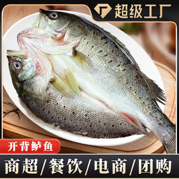 Sea Bass with Its Back Open, Fresh, Live, Frozen, Deep-Sea Fish, Gutted, with Its Back Open, Commercial Wholesale, Catering Delivery