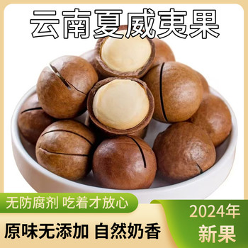 Yunnan Macadamia Nut Original Creamy Dried Nuts New Year Gift Box Nuts Bulk Weighed Snacks Whole Box Wholesale