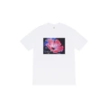 White 842
