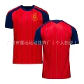 Two-star fan edition - home jersey without printing