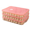 Large Dumpling Box Kitchen Storage Multi-Layer Food Preservation Box Quick-Frozen Frozen Dumpling Refrigerator Storage Box
