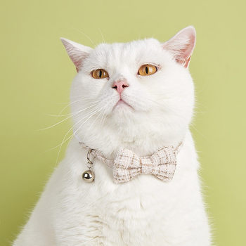 New Cat Collar, Cat Bell Collar, Dog Collar, Pet Collar, Cute Collar, Cat Bow, Adjustable Collar