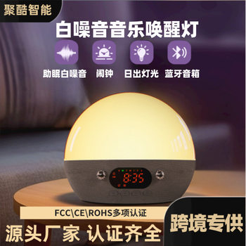 Simulated Sunrise Wake-Up Light Amazon Cross-Border White Noise Sleeping Atmosphere Light Bluetooth Music Smart Night Light